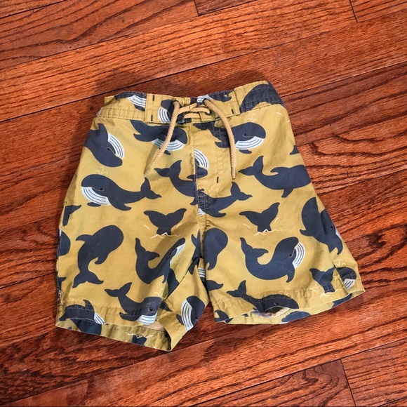 whale swim trunks